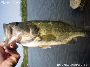 �֥�å��Х�