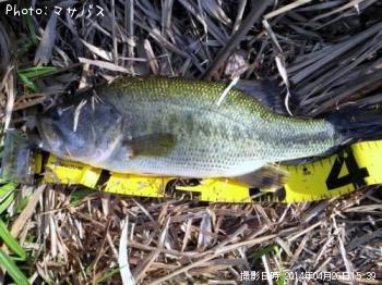 �֥�å��Х�