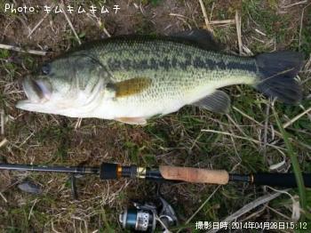 �֥�å��Х�