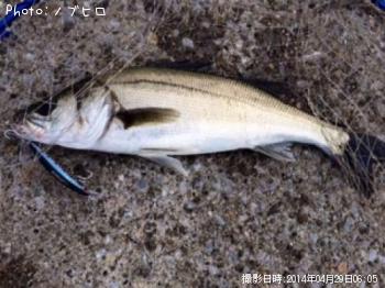 �����Х�