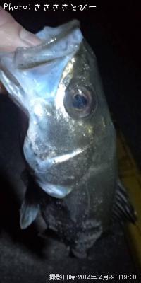 ��Х�������������Х�