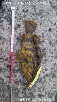 ¥¿¥±¥Î¥³¥á¥Ð¥ë