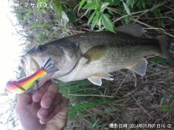 ¥Ö¥é¥Ã¥¯¥Ð¥¹