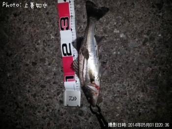 �����Х�