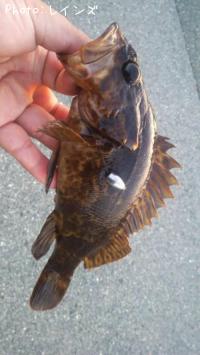 �����Υ���Х�