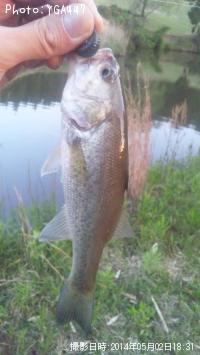 ¥Ö¥é¥Ã¥¯¥Ð¥¹