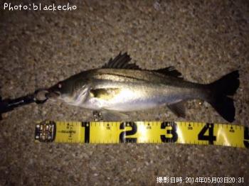 �����Х�