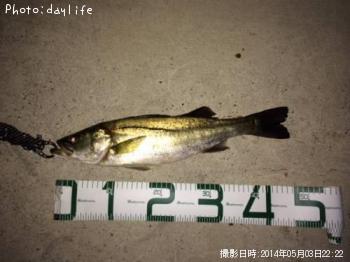 �����Х�