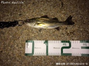 �����Х�