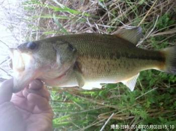 �֥�å��Х�