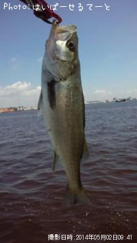 �����Х�