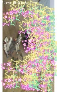 �����Х�