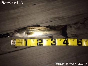 �����Х�