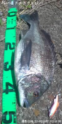 ������������