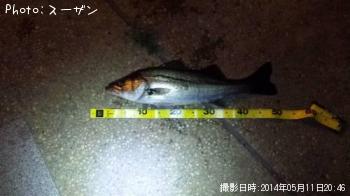 �����Х�