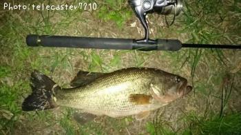 �֥�å��Х�