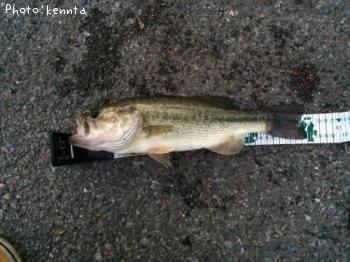 �֥�å��Х�