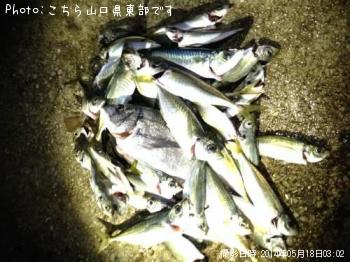 ¥µ¥Ð¡¡¥Á¥Ì¡¡¥¢¥¸¡¡¥á¥Ð¥ë