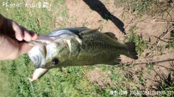 �֥�å��Х�