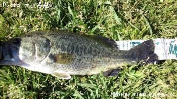 �֥�å��Х�