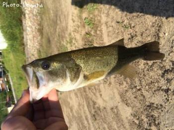 �֥�å��Х�