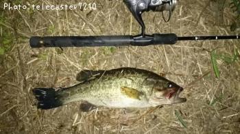 �֥�å��Х�