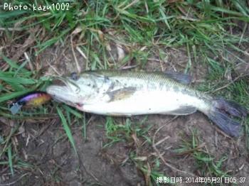 �֥�å��Х�