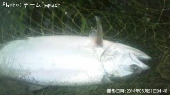 ������ޥ�