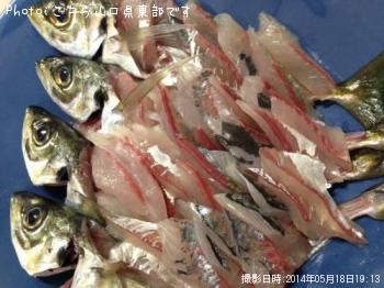 ¥µ¥Ð¡¡¥Á¥Ì¡¡¥¢¥¸¡¡¥á¥Ð¥ë