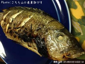 ¥µ¥Ð¡¡¥Á¥Ì¡¡¥¢¥¸¡¡¥á¥Ð¥ë