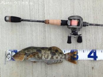 �����ʥ�