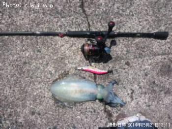 ¥¢¥ª¥ê¥¤¥«