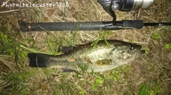 ¥Ö¥é¥Ã¥¯¥Ð¥¹