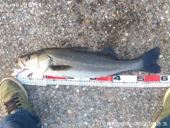 �����Х�