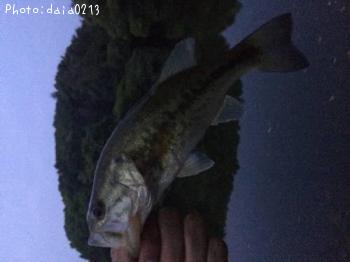 �֥�å��Х�