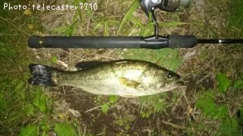 ¥Ö¥é¥Ã¥¯¥Ð¥¹