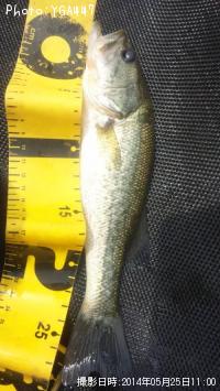 �֥�å��Х�