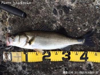 �����Х�