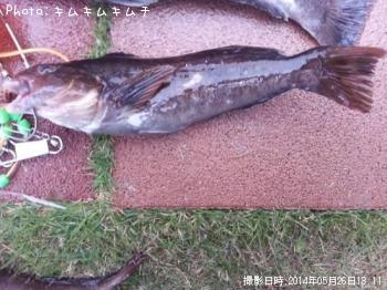 �����ʥ�