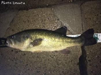 �֥�å��Х�