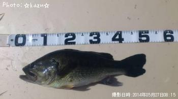 ¥Ö¥é¥Ã¥¯¥Ð¥¹