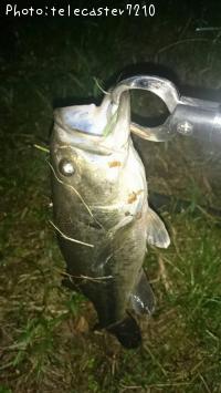 �֥�å��Х�