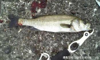 �����Х�