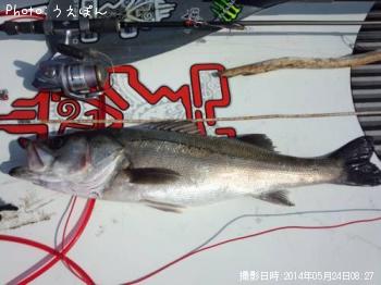 �����Х�