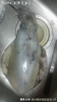 ¥¢¥ª¥ê¥¤¥«