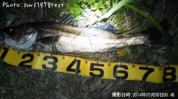 �����Х�