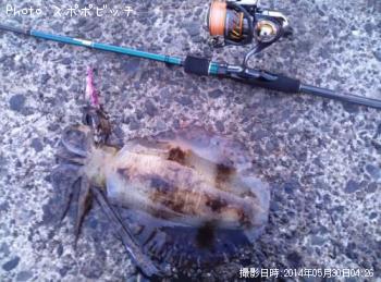 �����ꥤ��