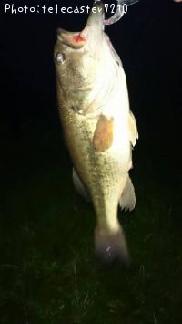 �֥�å��Х�