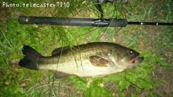 �֥�å��Х�