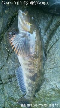 �����ʥ�